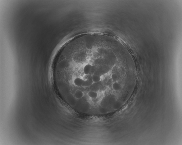 X0000111170343200907011354