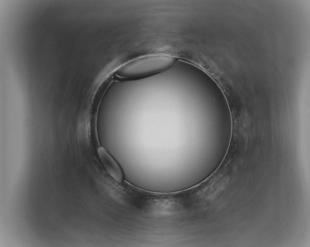 X0000111170344200907011354