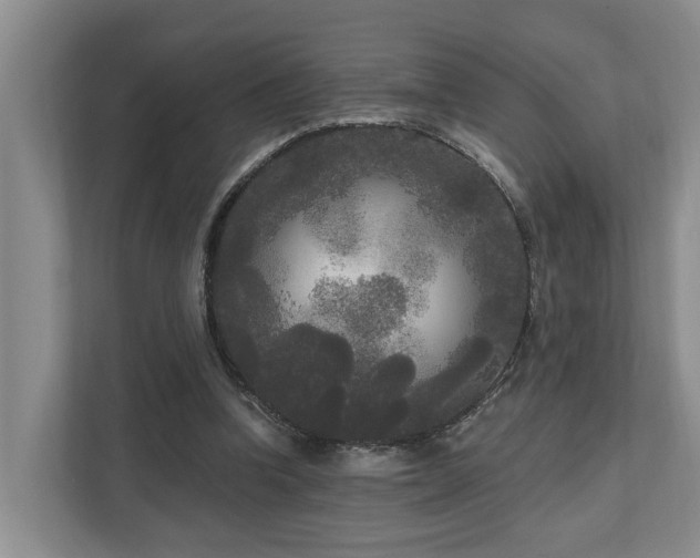 X0000111170346200907011354