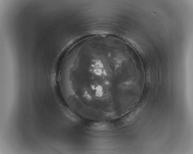 X0000111170351200907011354