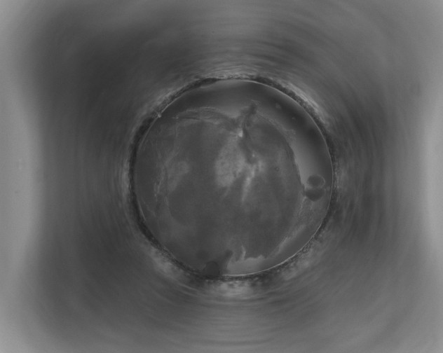 X0000111170353200907011354