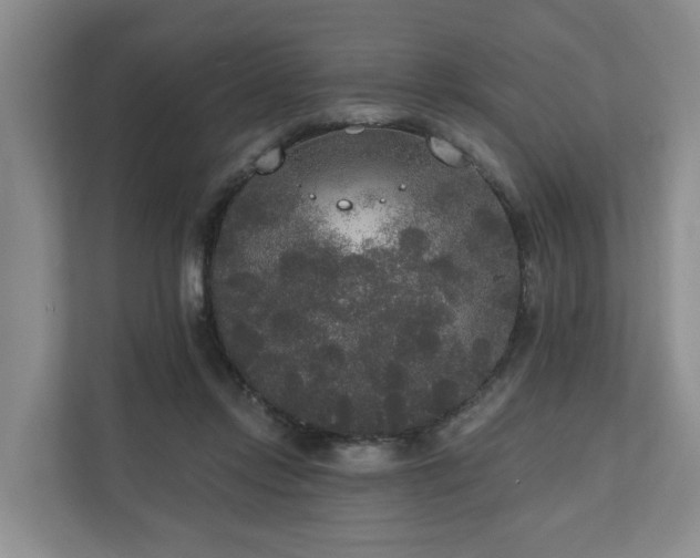 X0000111170358200907011354