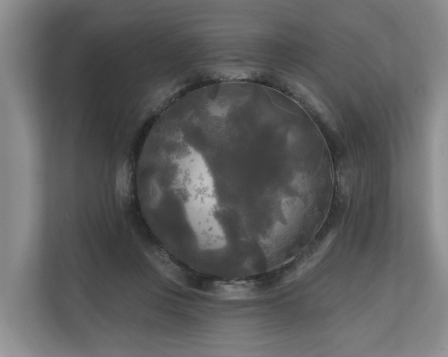 X0000111170359200907011354