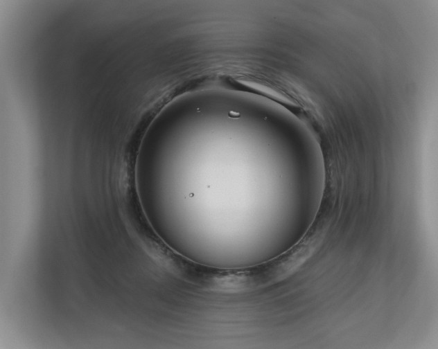 X0000111170362200907011354