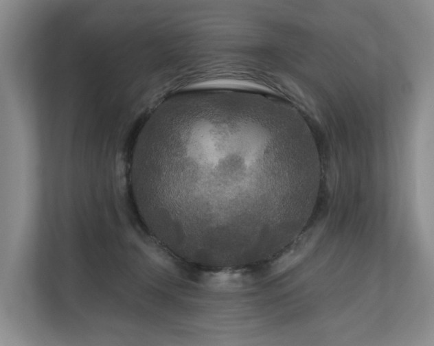 X0000111170366200907011354