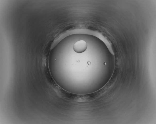 X0000111170368200907011354