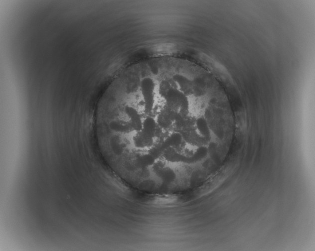 X0000111170369200907011354