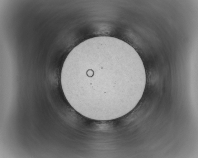 X0000111170370200907011354