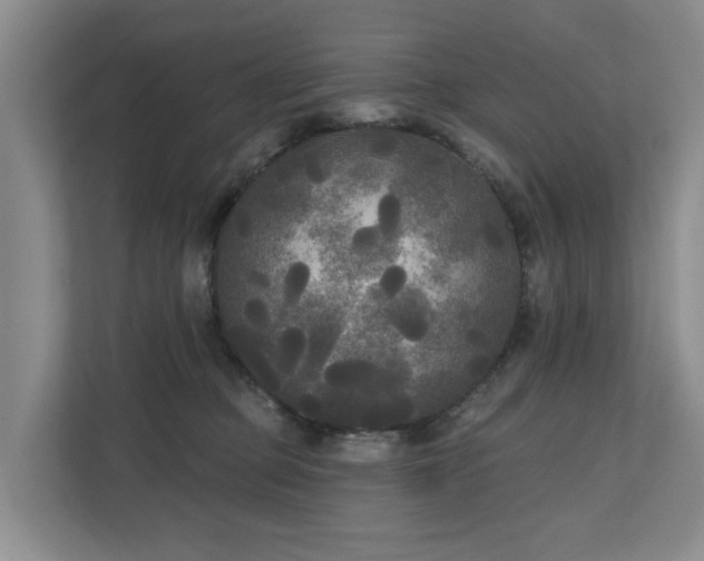 X0000111170373200907011354