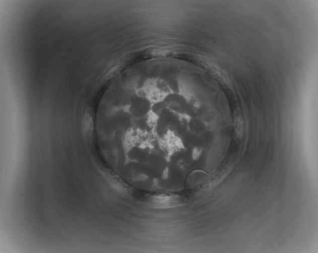 X0000111170375200907011354