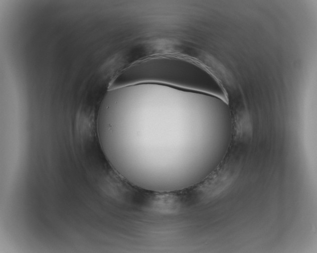 X0000111170376200907011354