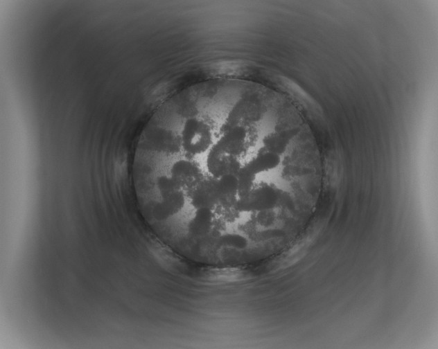 X0000111170377200907011354