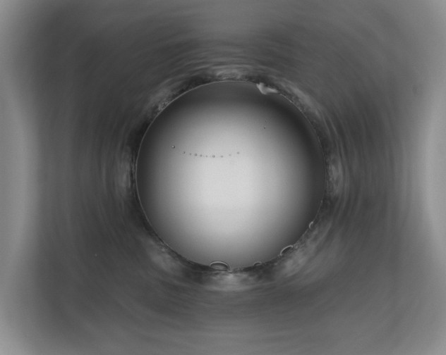 X0000111170379200907011354