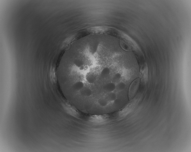 X0000111170381200907011354