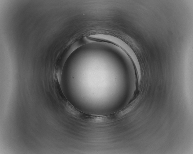 X0000111170382200907011354