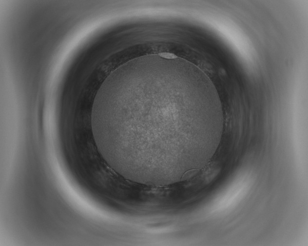 X0000111170383200907011354