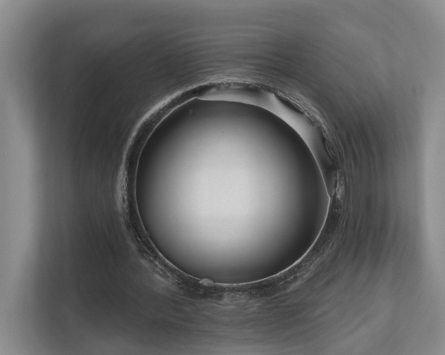 X0000111170388200907011354