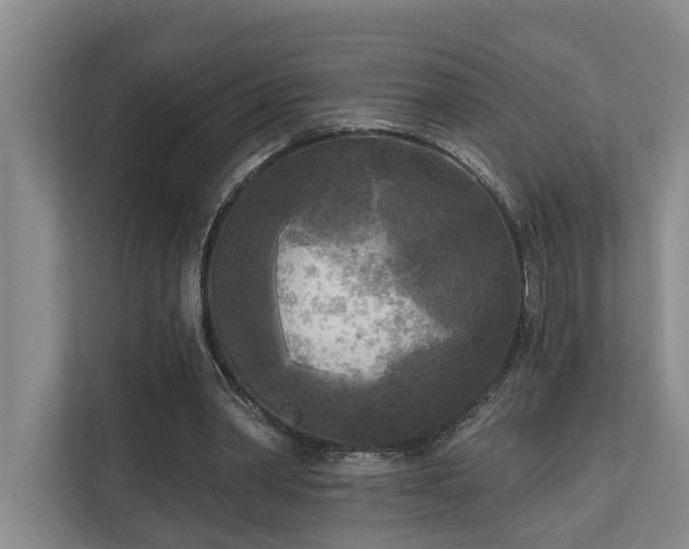 X0000111170390200907011354