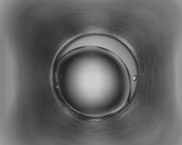 X0000111170391200907011354