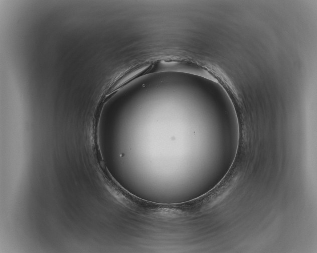 X0000111170393200907011353