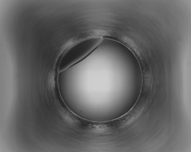 X0000111170395200907011353