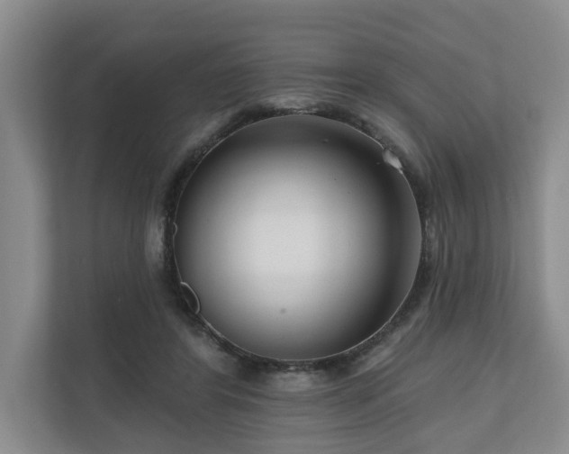 X0000111170404200907011353