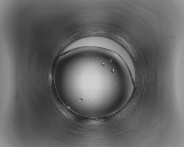 X0000111170405200907011353