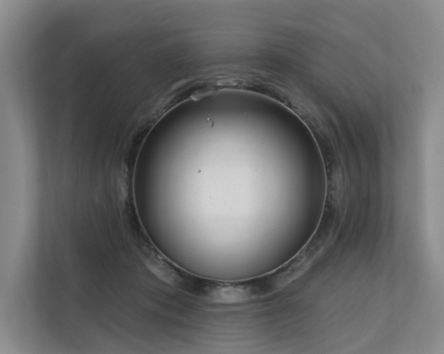 X0000111170413200907011353