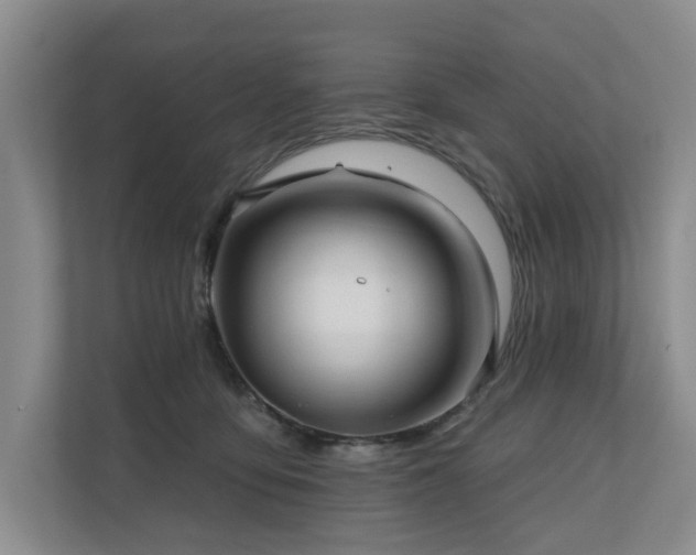 X0000111170419200907011353