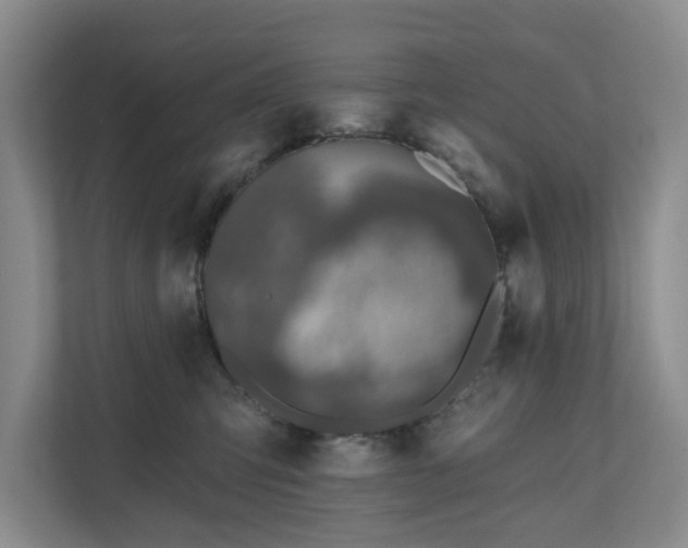 X0000111170423200907011353