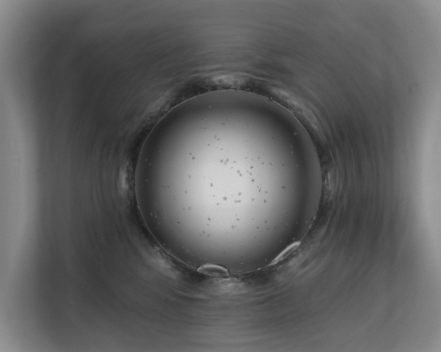 X0000111170424200907011353