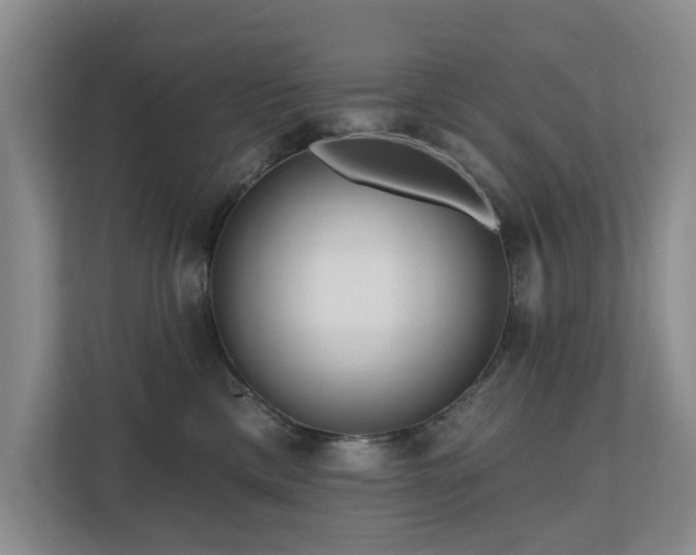 X0000111170425200907011353