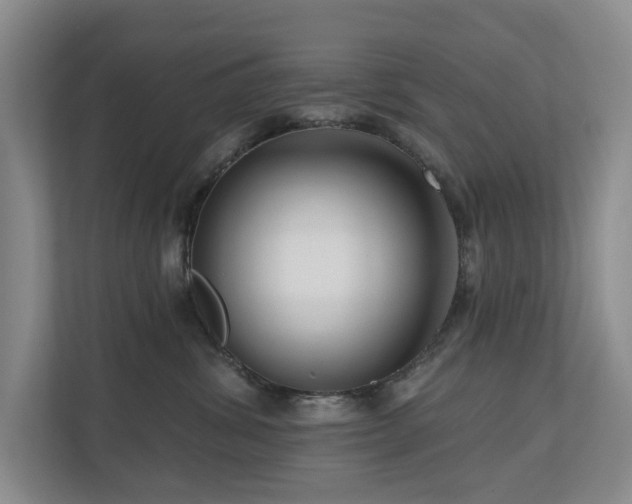 X0000111170428200907011353