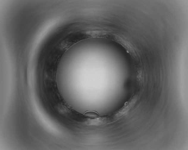 X0000111170430200907011353