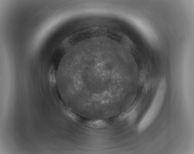 X0000111170431200907011353