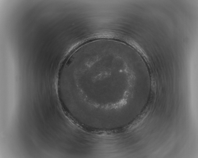 X0000111170434200907011352