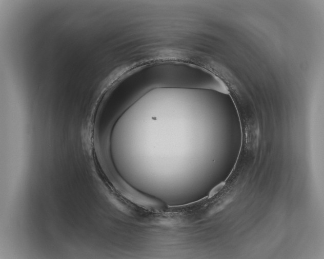 X0000111170436200907011352