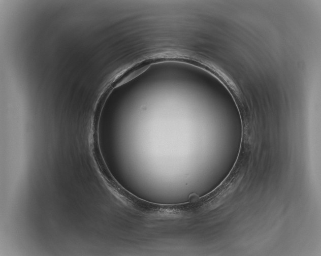 X0000111170437200907011352