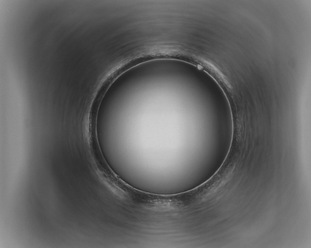 X0000111170439200907011352