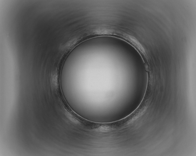 X0000111170441200907011352