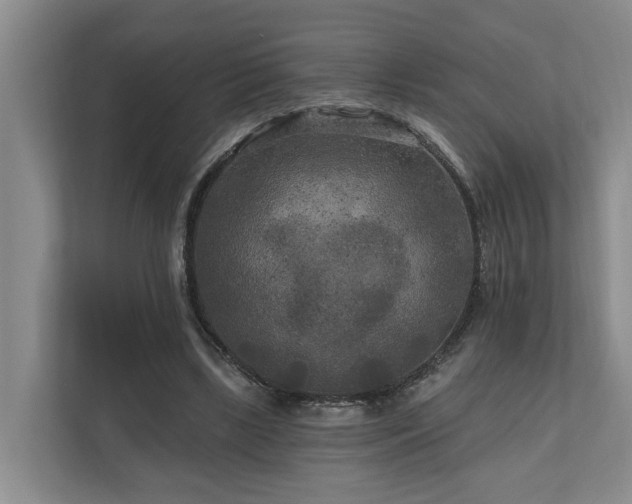 X0000111170443200907011352