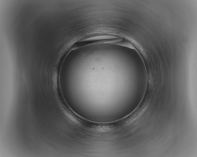 X0000111170445200907011353