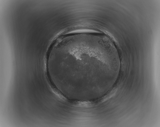 X0000111170446200907011353