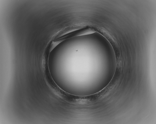 X0000111170448200907011353