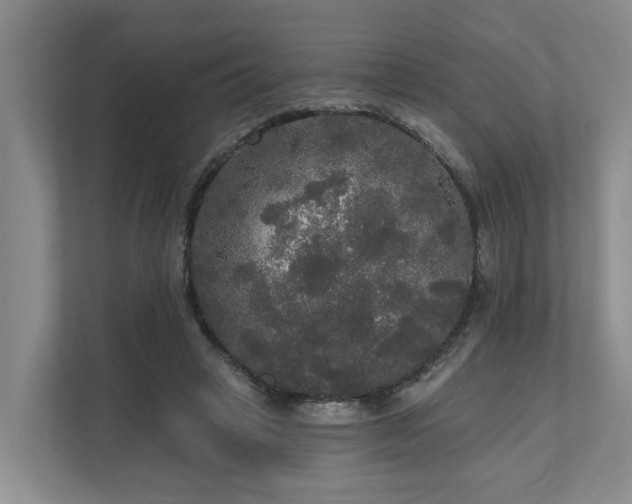 X0000111170449200907011353