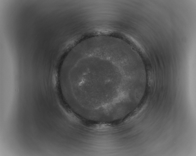 X0000111170451200907011353