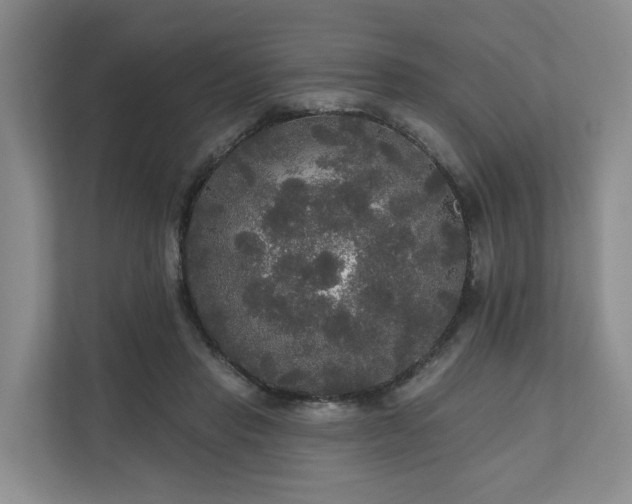 X0000111170453200907011353