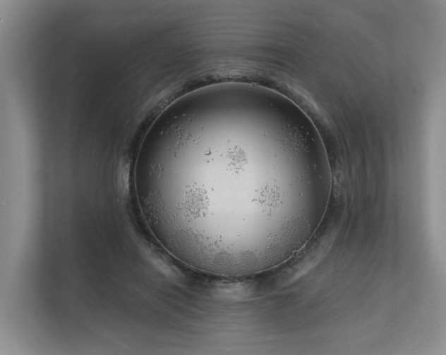 X0000111170454200907011353