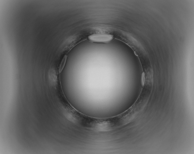 X0000111170456200907011353