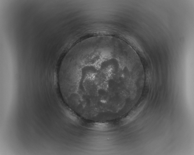 X0000111170457200907011353